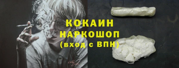 стафф Ладушкин