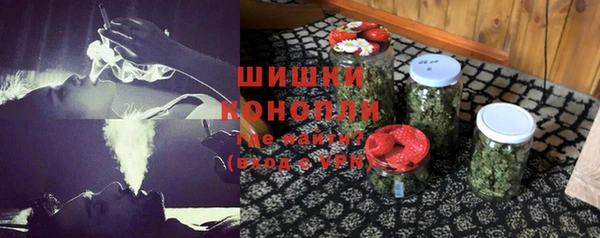стафф Ладушкин