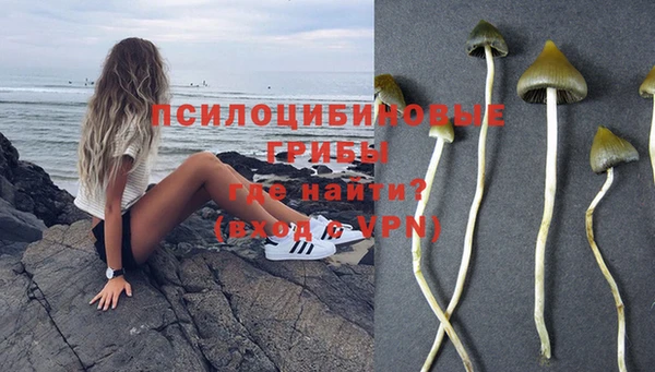 гашик Лагань